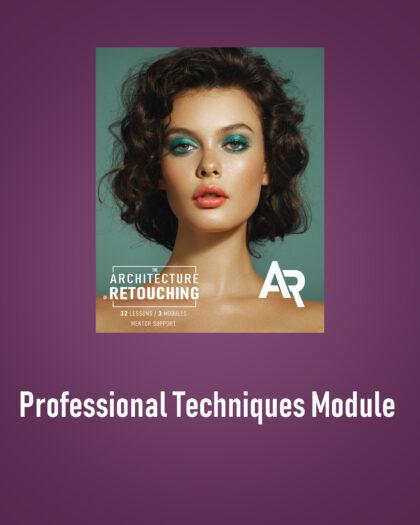 Professional Techniques