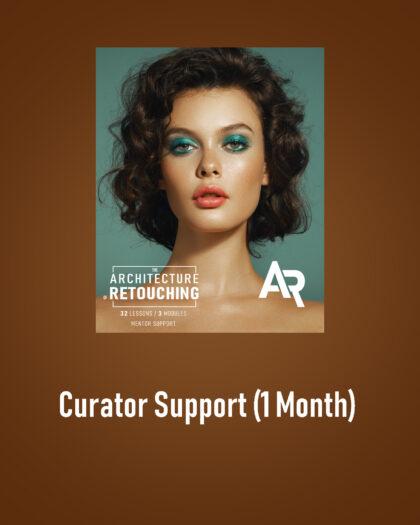 Mentor support / 1 month