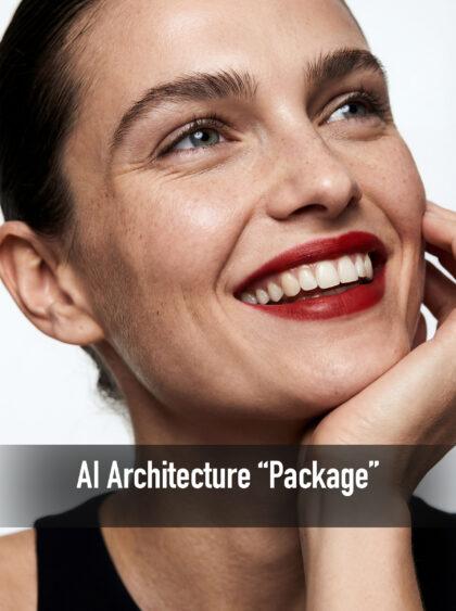 AI Architecture “Package” (80$)