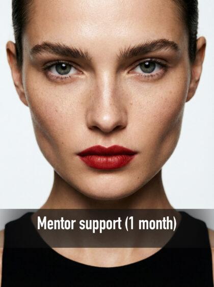 Mentor support / 1 month
